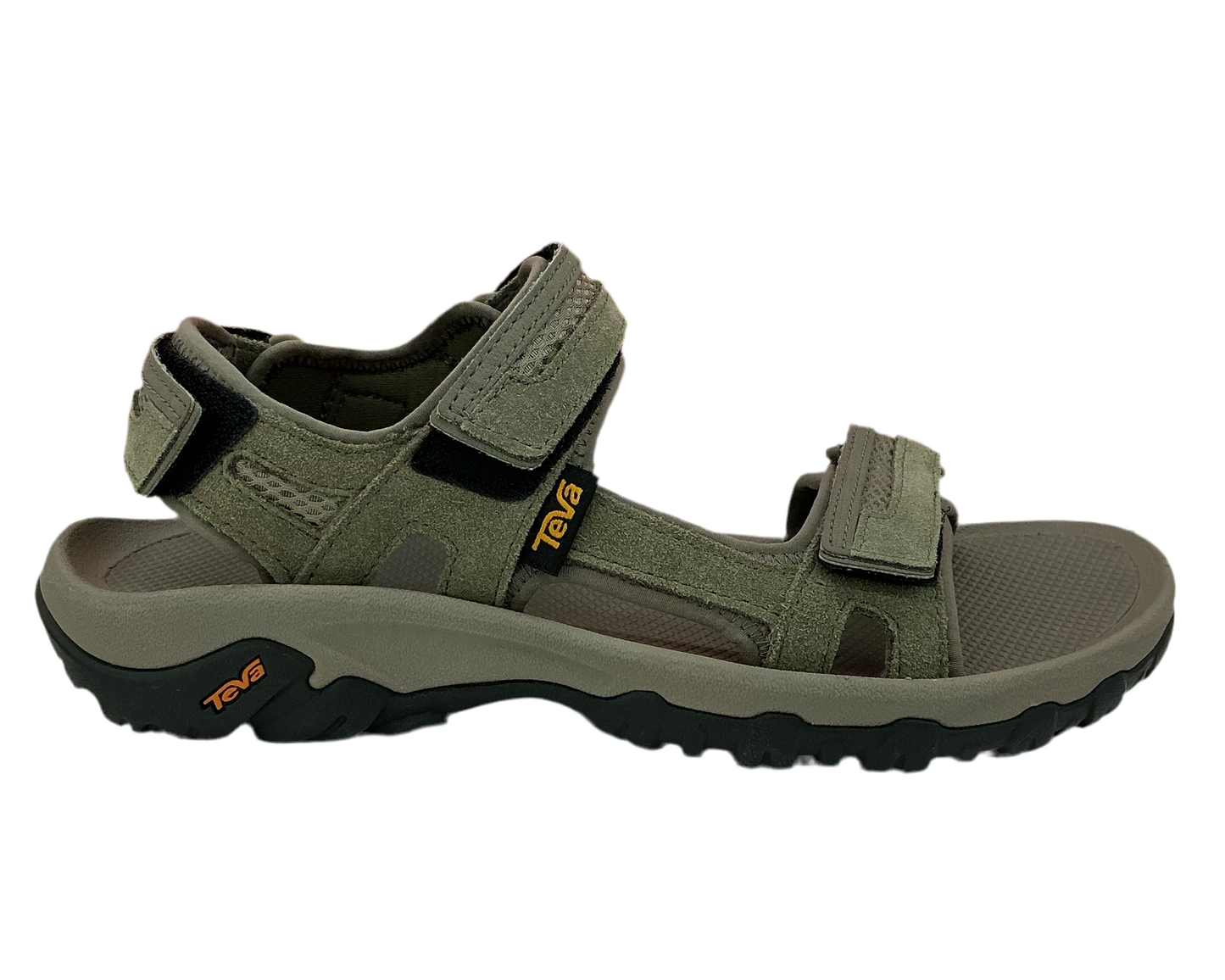 TEVA M HUDSON