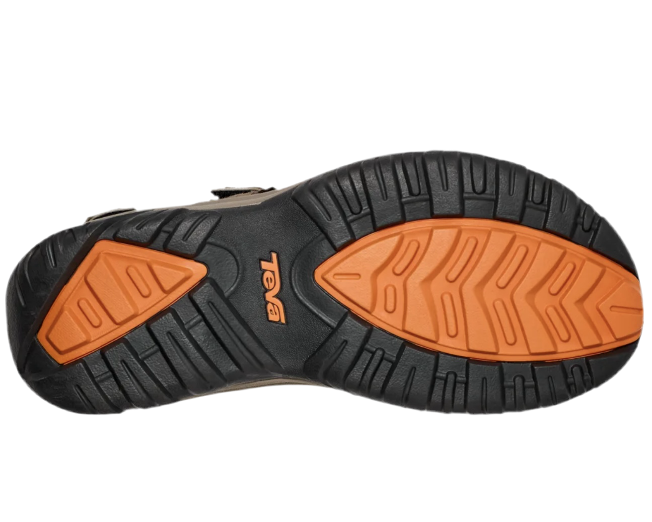TEVA M HUDSON