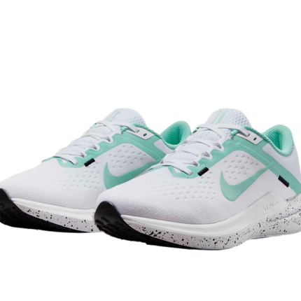 Nike Winflo 10 worn during a long-distance run in Lake Mary

