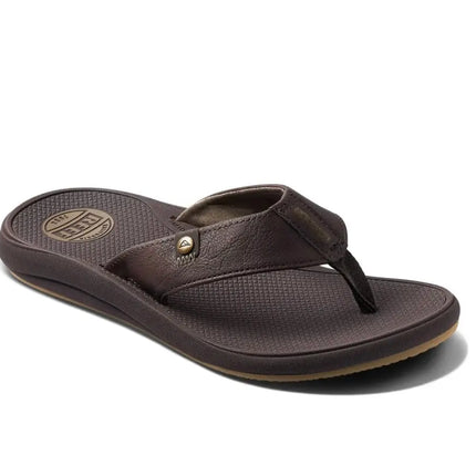 REEF Phantom Nias on summer walk – Kissimmee, FL (34741)